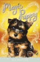 bokomslag Magic Puppy: Sunshine Shimmers