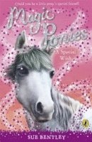 bokomslag Magic Ponies: A Special Wish
