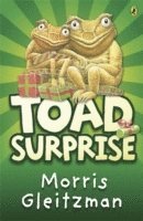 bokomslag Toad Surprise