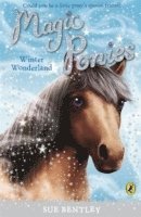 bokomslag Magic Ponies: Winter Wonderland