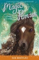 bokomslag Magic Ponies: Pony Camp