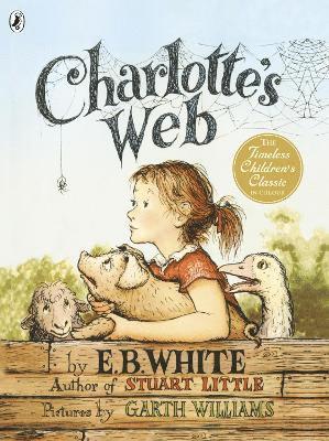 bokomslag Charlotte's Web (Colour Edn)