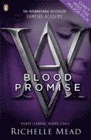 bokomslag Vampire Academy: Blood Promise (book 4)