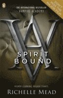 bokomslag Vampire Academy: Spirit Bound (book 5)