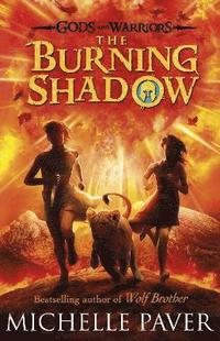 bokomslag Burning Shadow (Gods and Warriors Book 2)