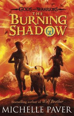bokomslag The Burning Shadow (Gods and Warriors Book 2)