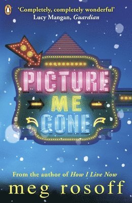 Meg Rosoff - Picture Me Gone, Häftad