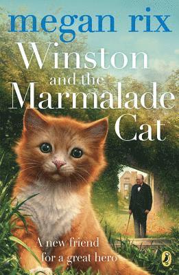 bokomslag Winston and the Marmalade Cat