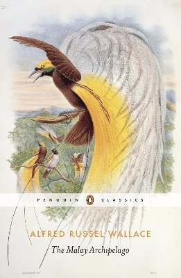 Alfred Russel Wallace, Andrew Berry - Malay Archipelago, Häftad