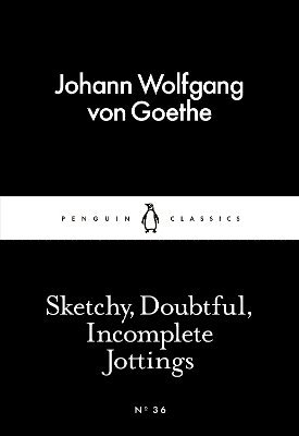 Johann Wolfgang von Goethe - Sketchy, Doubtful, Incomplete Jottings, Häftad