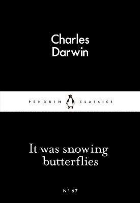 It Was Snowing Butterflies 1