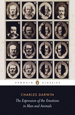 Charles Darwin, Sharon Messenger - Expression of the Emotions in Man and Animals, Häftad