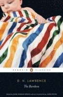 D. H. Lawrence, Anne Fernihough, James Wood, Mark Kinkead-Weekes - Rainbow, Häftad