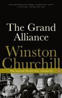 bokomslag Grand Alliance