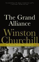 bokomslag The Grand Alliance