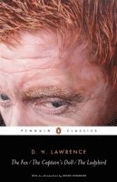 D. H. Lawrence, Dieter Miehl - Fox, The Captain's Doll, The Ladybird, Häftad