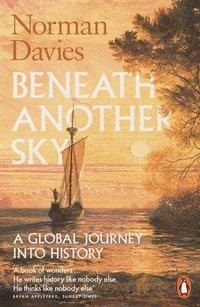 bokomslag Beneath Another Sky: A Global Journey into History