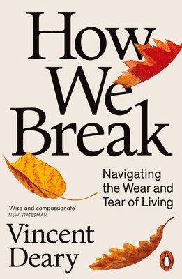 bokomslag How We Break