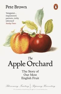 bokomslag The Apple Orchard