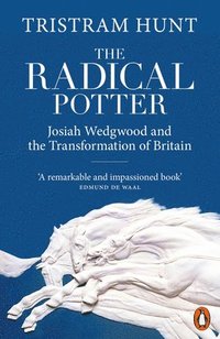 bokomslag The Radical Potter