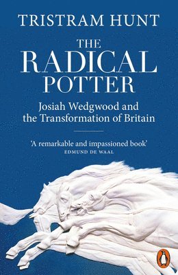 The Radical Potter 1