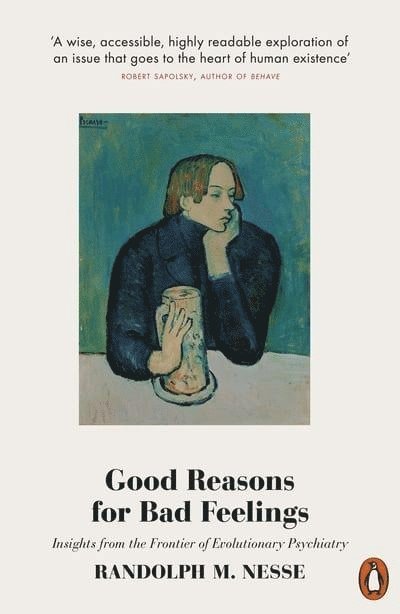 Good Reasons for Bad Feelings 1