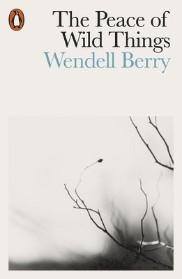 Wendell Berry - Peace of Wild Things, Häftad