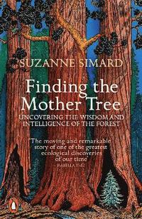bokomslag Finding the Mother Tree