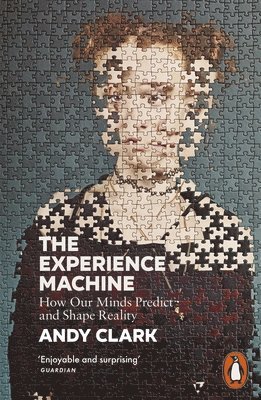 Andy Clark - Experience Machine, Häftad