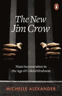 bokomslag The New Jim Crow