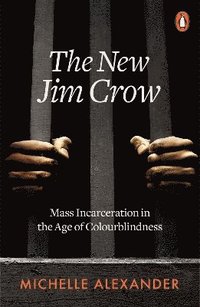 bokomslag The New Jim Crow: Mass Incarceration in the Age of Colourblindness