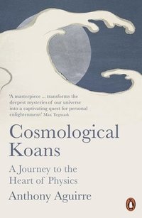 bokomslag Cosmological Koans: A Journey to the Heart of Physics