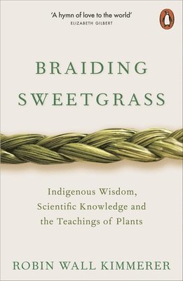 bokomslag Braiding Sweetgrass