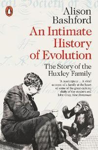 bokomslag An Intimate History of Evolution