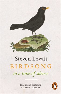 Steven Lovatt - Birdsong in a Time of Silence, Häftad