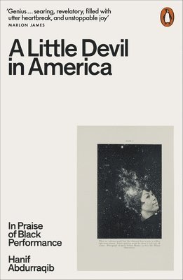 Little Devil in America