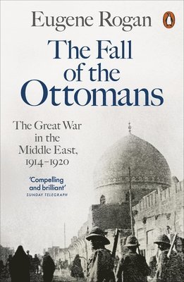 bokomslag Fall of the Ottomans