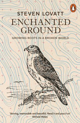 Steven Lovatt - Enchanted Ground, Häftad