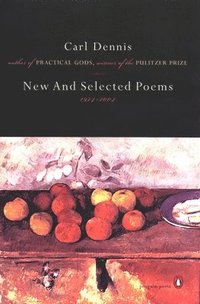 bokomslag New And Selected Poems 1974-2004