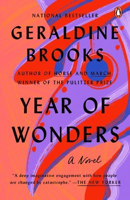 Geraldine Brooks - Year of Wonders, Häftad