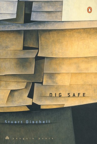 Stuart Dischell - Dig Safe, Häftad