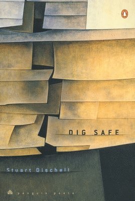 Dig Safe 1