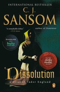 bokomslag Dissolution