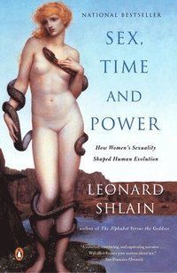 bokomslag Sex, Time, and Power: How Women's Sexuality Shaped Human Evolution