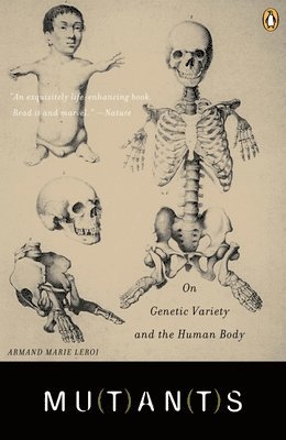 bokomslag Mutants: On Genetic Variety and the Human Body