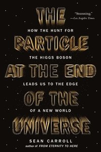 bokomslag The Particle at the End of the Universe: How the Hunt for the Higgs Boson Leads Us to the Edge of a New World