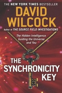 bokomslag The Synchronicity Key: The Hidden Intelligence Guiding the Universe and You