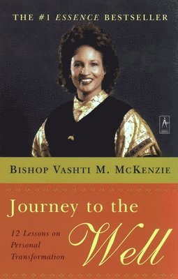 Vashti M. McKenzie - Journey to the Well, Häftad