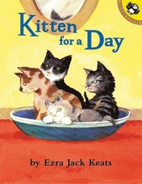 bokomslag Kitten For A Day