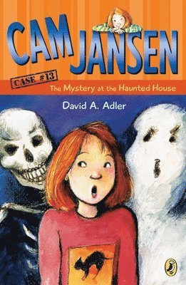 bokomslag Cam Jansen